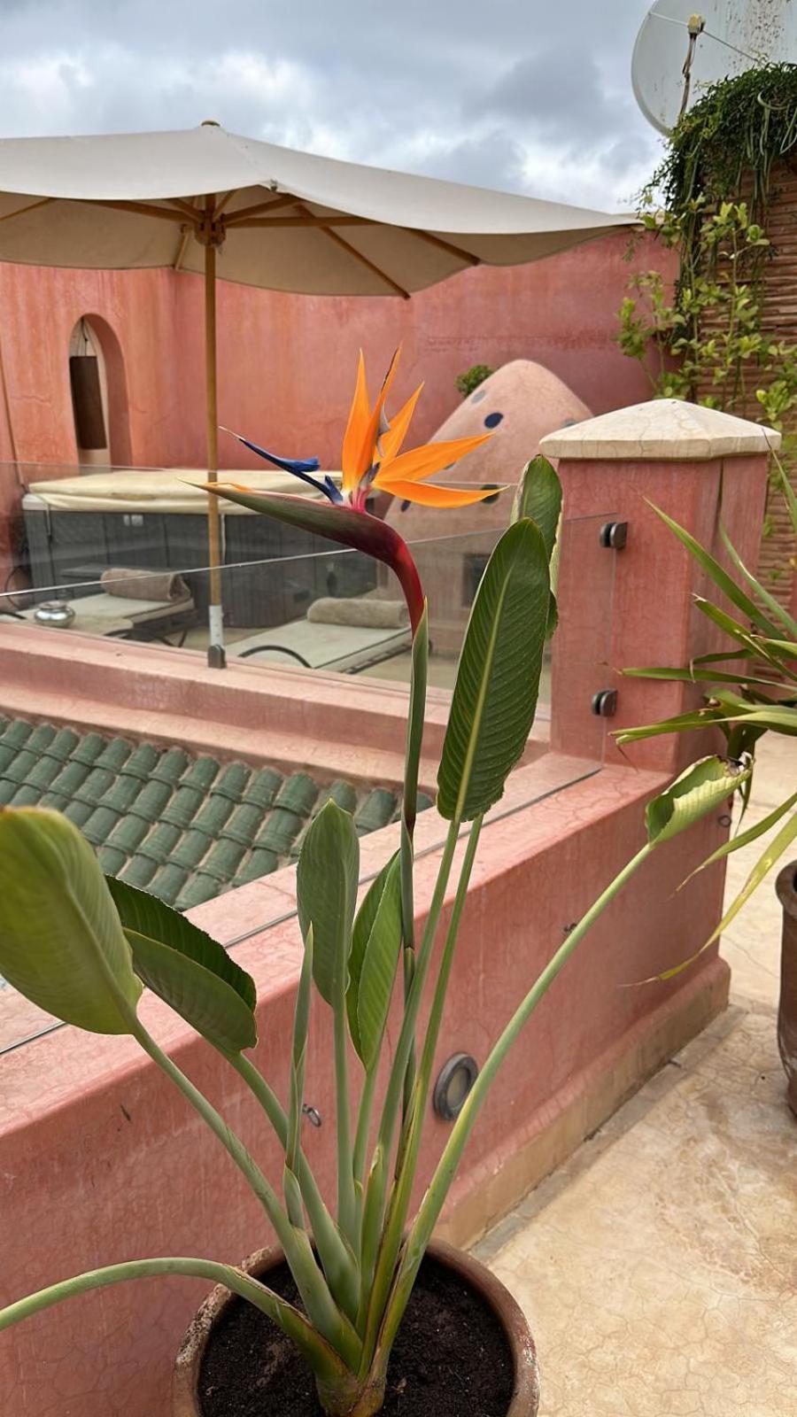 Riad Dar Ten Marrakesh Exterior foto